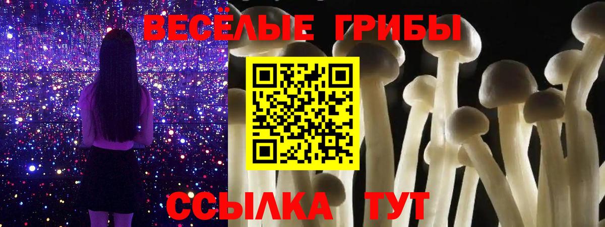 Нововоронеж  Галлюциногенные грибы Psilocybe  Вход с VPN 