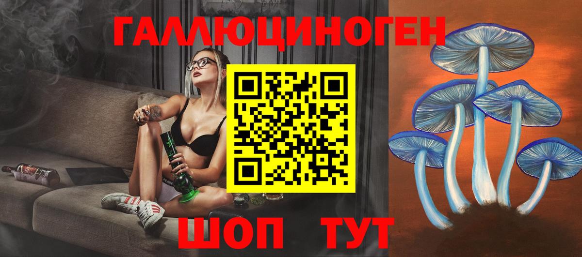 Галлюциногенные грибы Cubensis Нововоронеж
